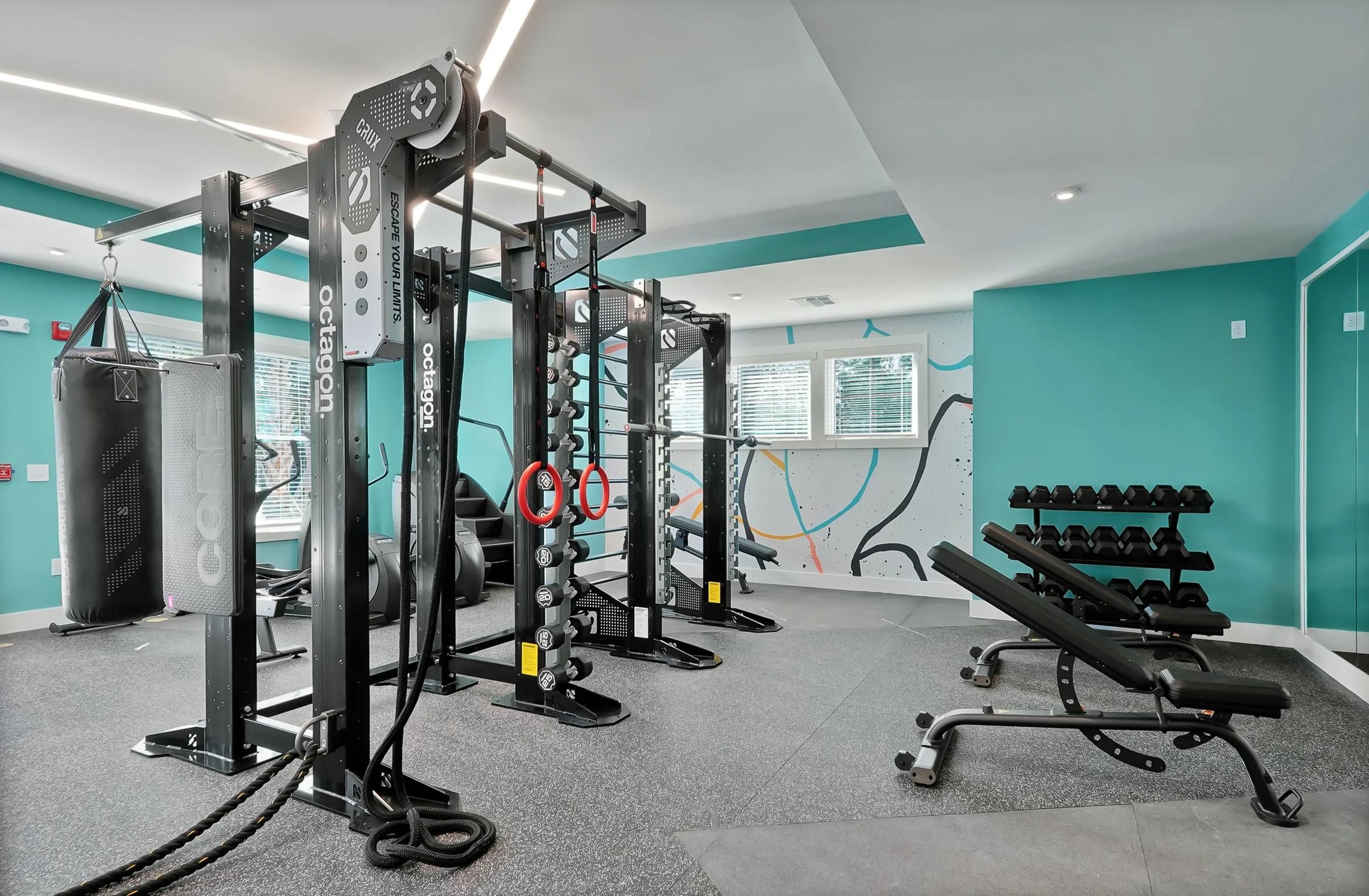 Modern gym with weight machines, free weights, benches, and teal accent walls, well-lit by natural light.